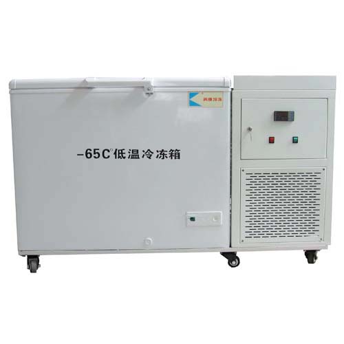 -65℃低溫冷凍箱
